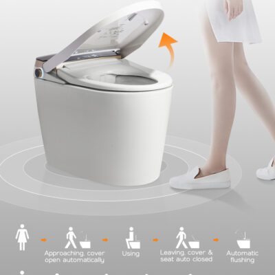 Smart Toilet - Tankless - Watermark Rough-in 300